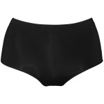 Abecita Basic. 2 st sköna maxibrief trosor i en förpackning.

